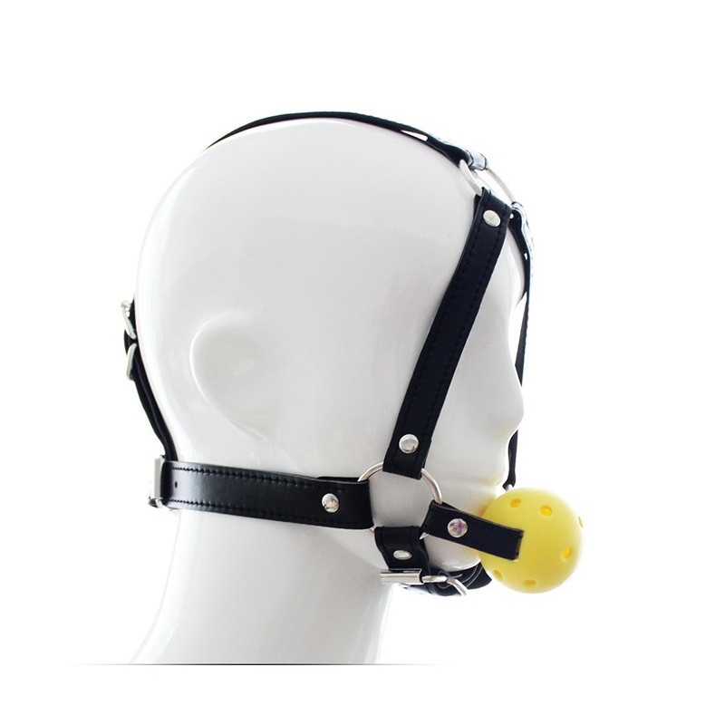 Ball Gag Harness